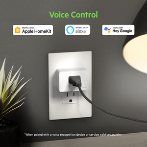 VoiceControl_AmazonGG