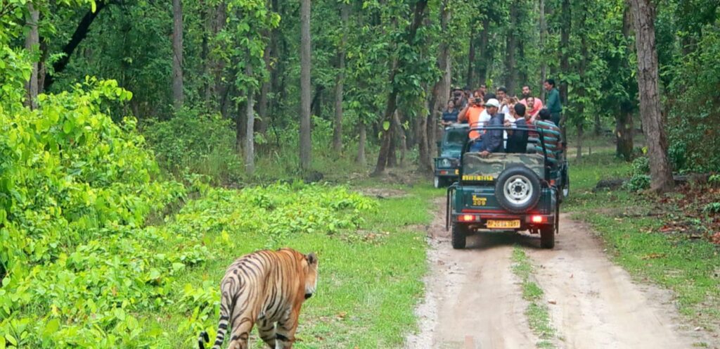 Bandipur